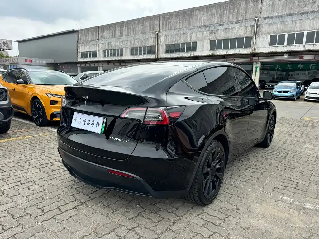 Tesla Model Y — фото 3