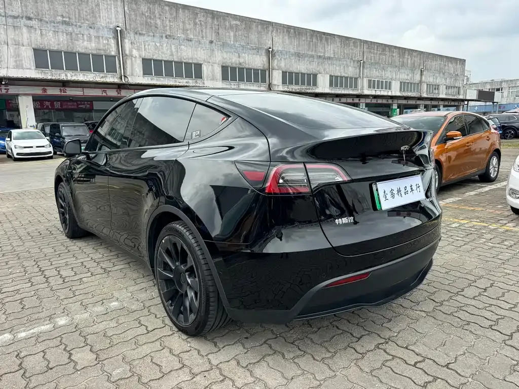 Tesla Model Y — фото 10
