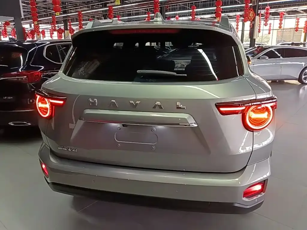 Haval Big Dog PLUS — фото 7