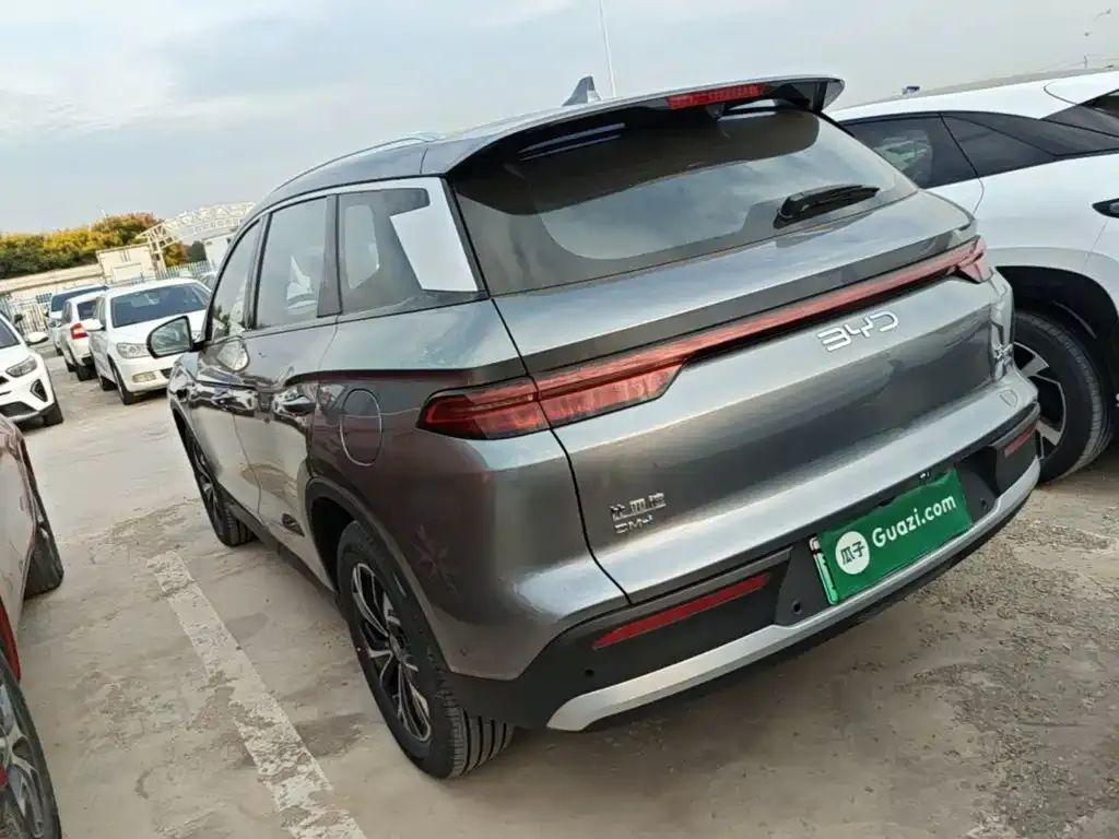 BYD Pro New Energy — фото 5