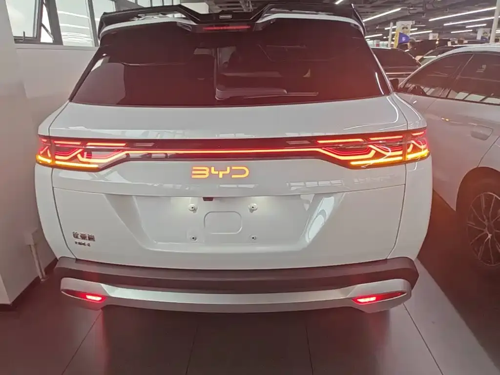 BYD L DM-i — фото 6