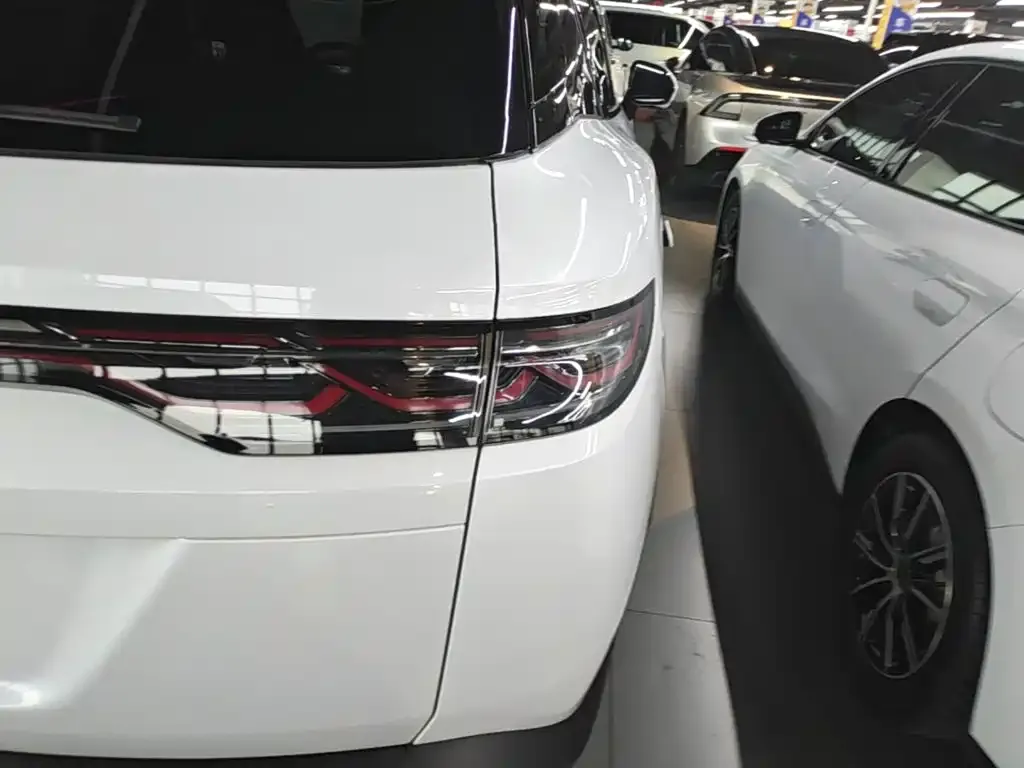 BYD L DM-i — фото 7
