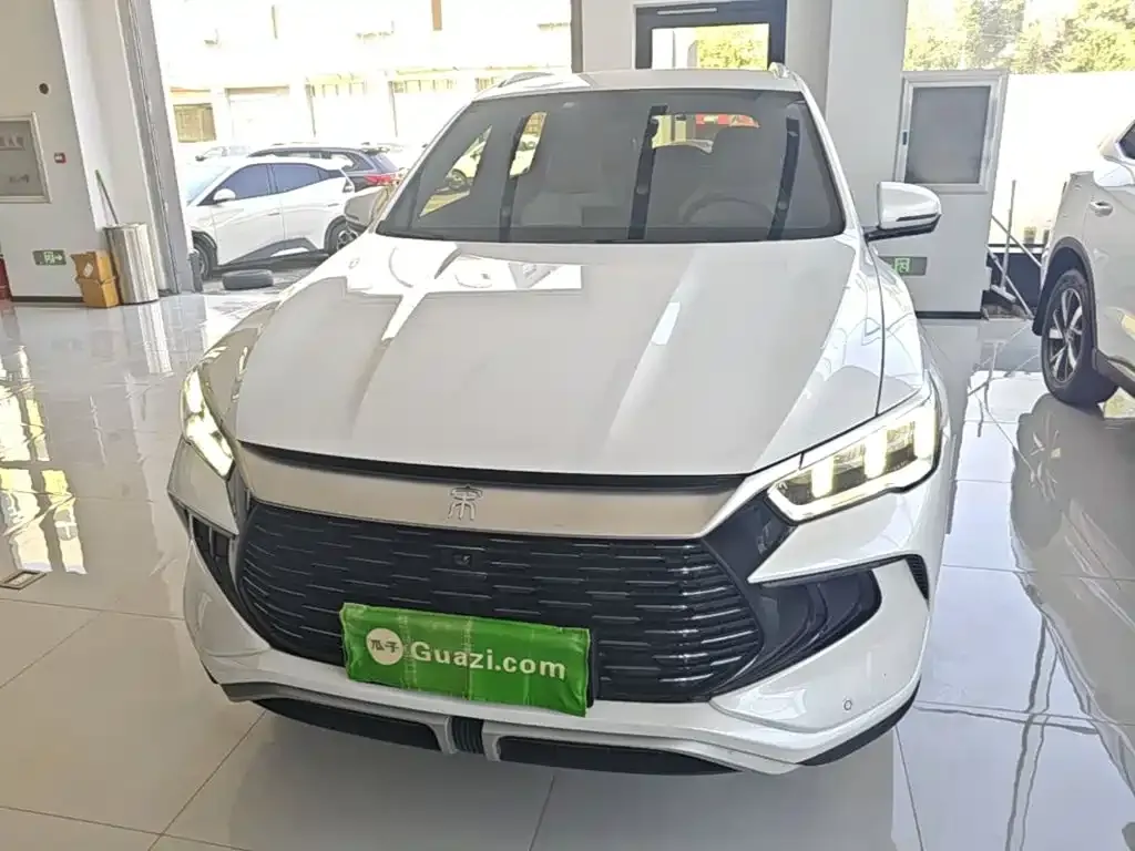 BYD Pro New Energy — фото 7