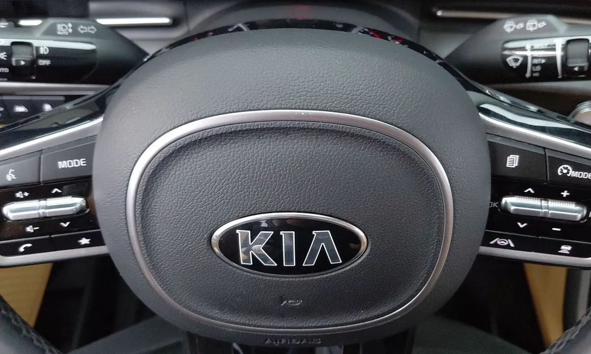 Kia Carnival — фото 10