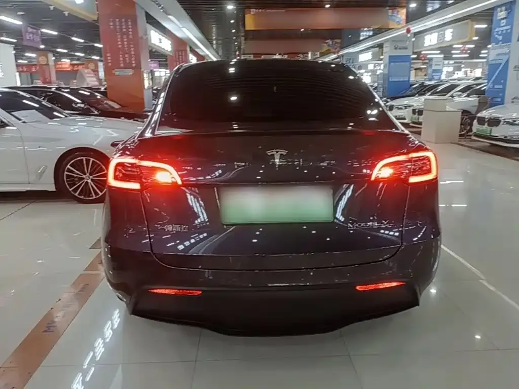 Tesla Model Y — фото 9