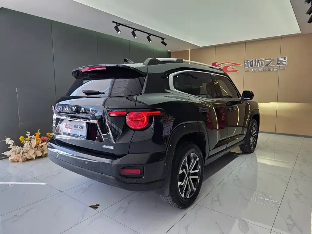 Haval Big Dog PLUS — фото 10