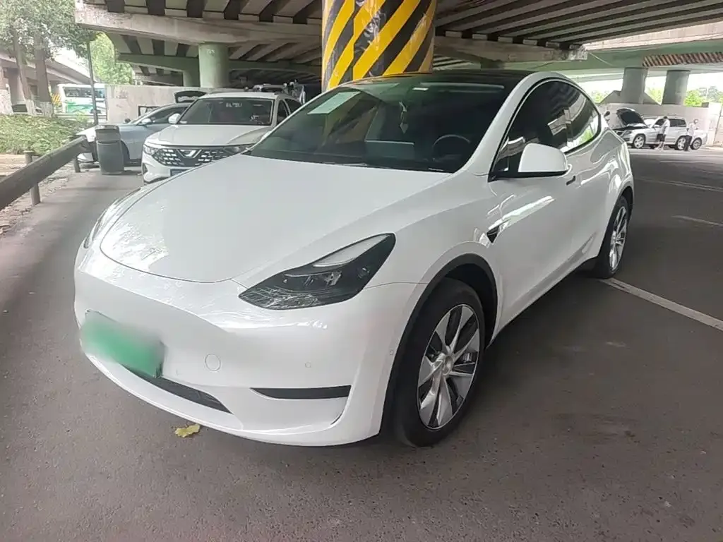 Tesla Model Y — фото 1