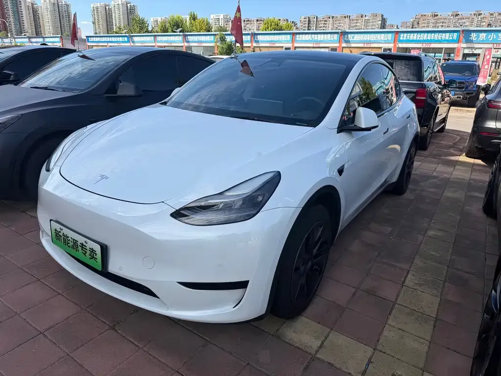 Tesla Model Y — фото 1