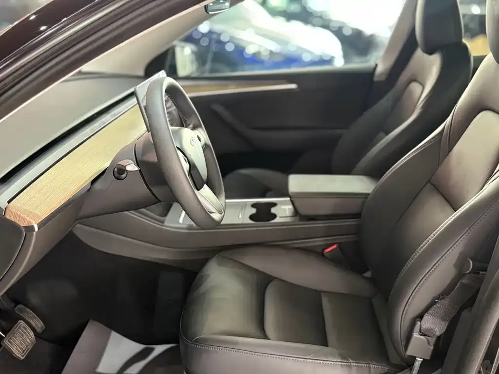 Tesla Model Y — фото 4