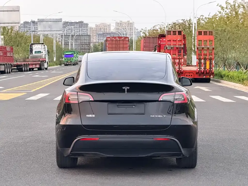Tesla Model Y — фото 4