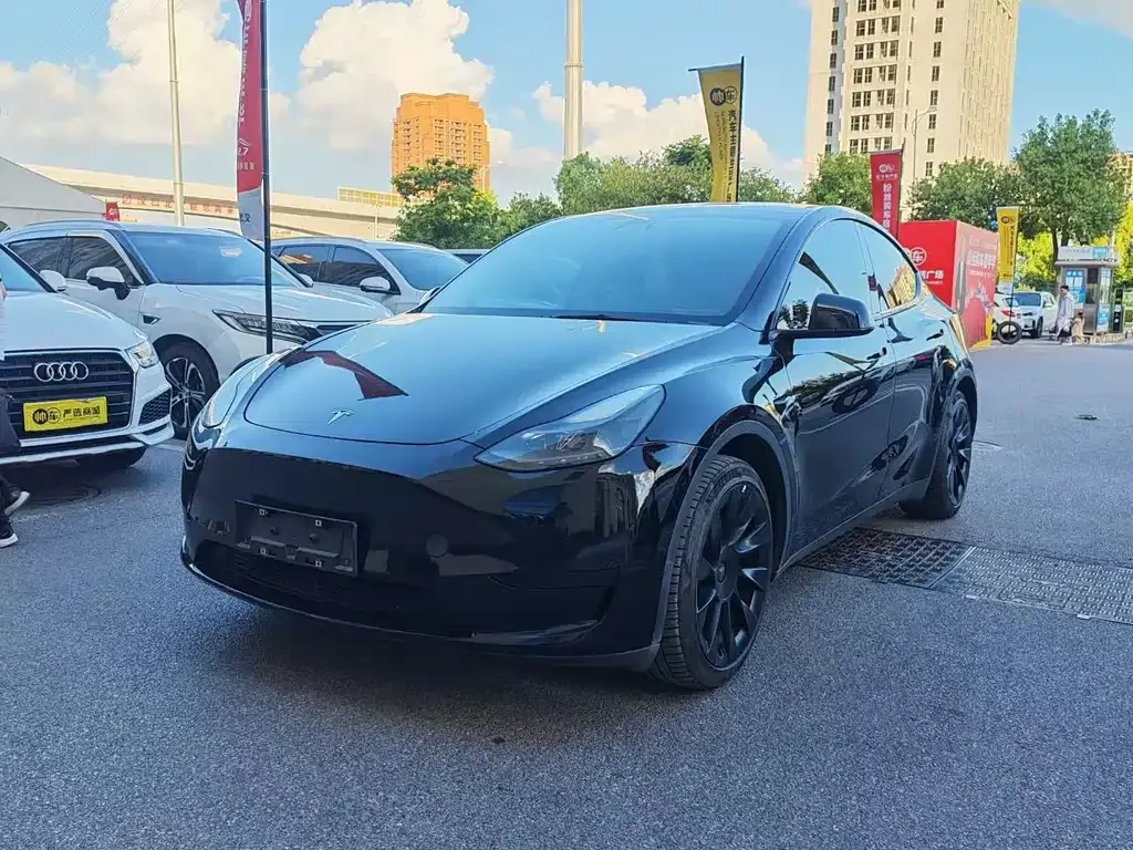 Tesla Model Y — фото 1