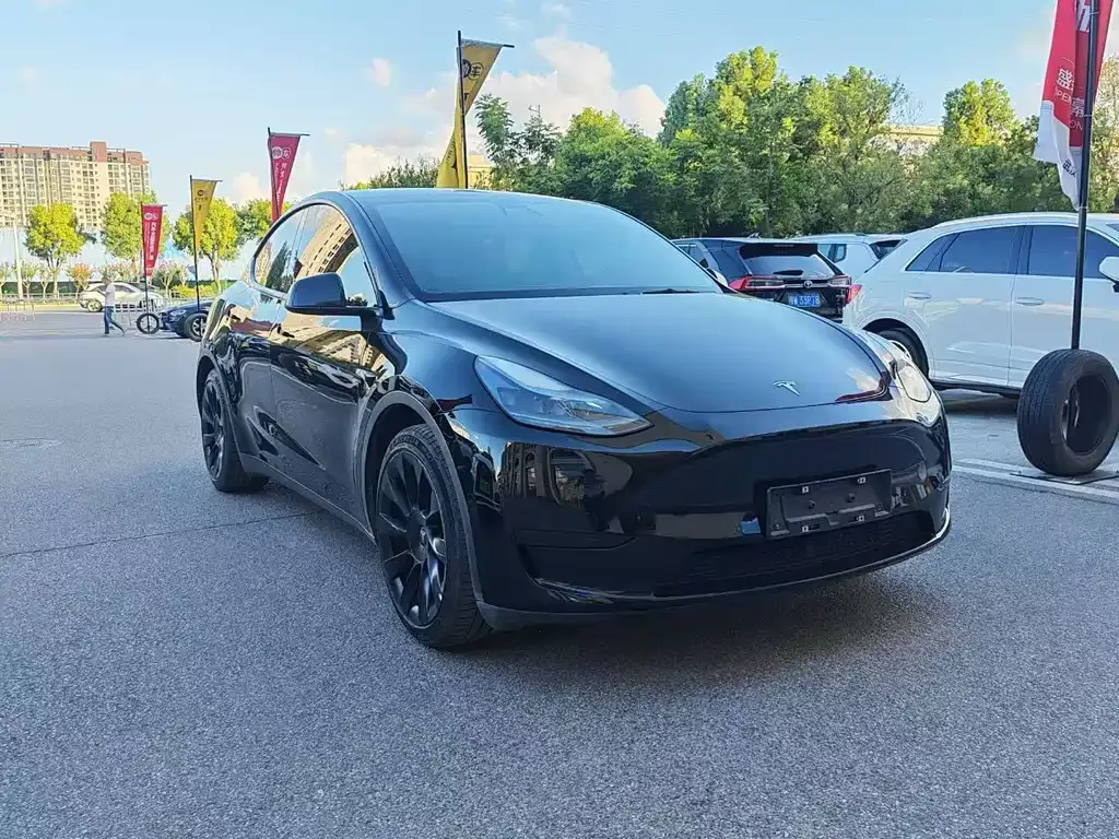 Tesla Model Y — фото 5