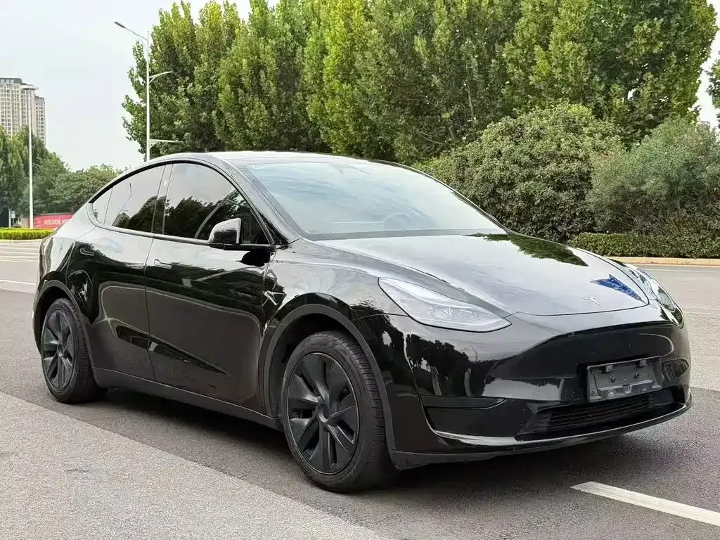 Tesla Model Y — фото 8