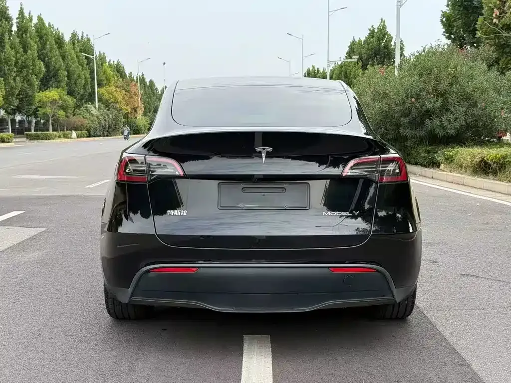 Tesla Model Y — фото 5