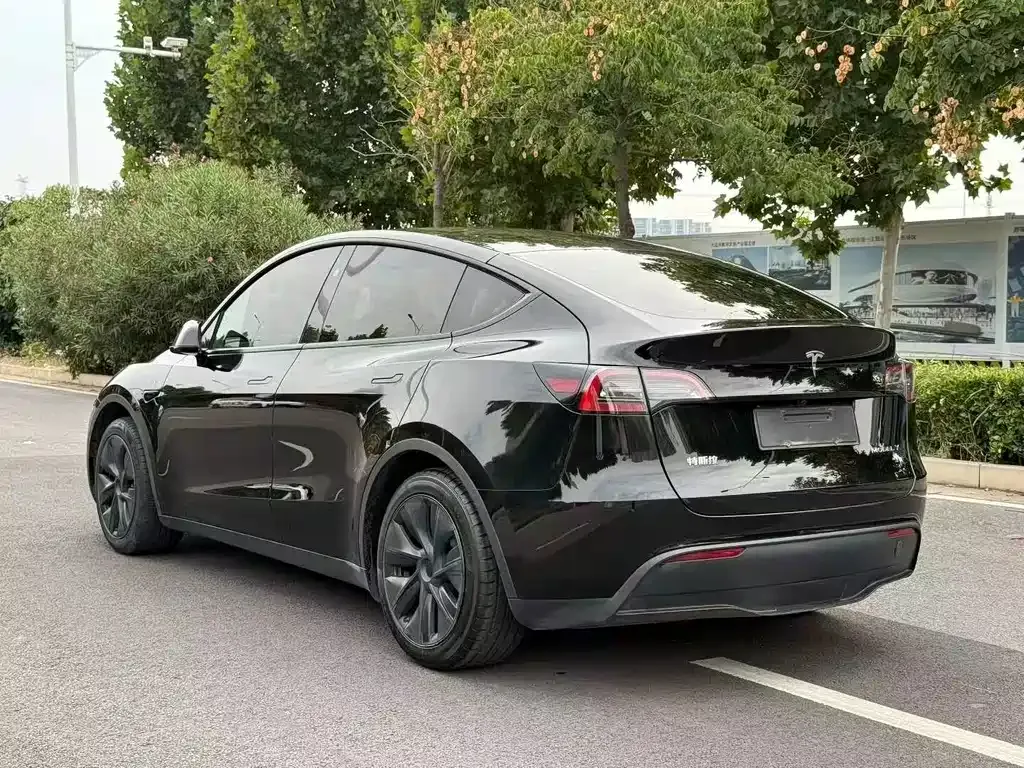 Tesla Model Y — фото 9