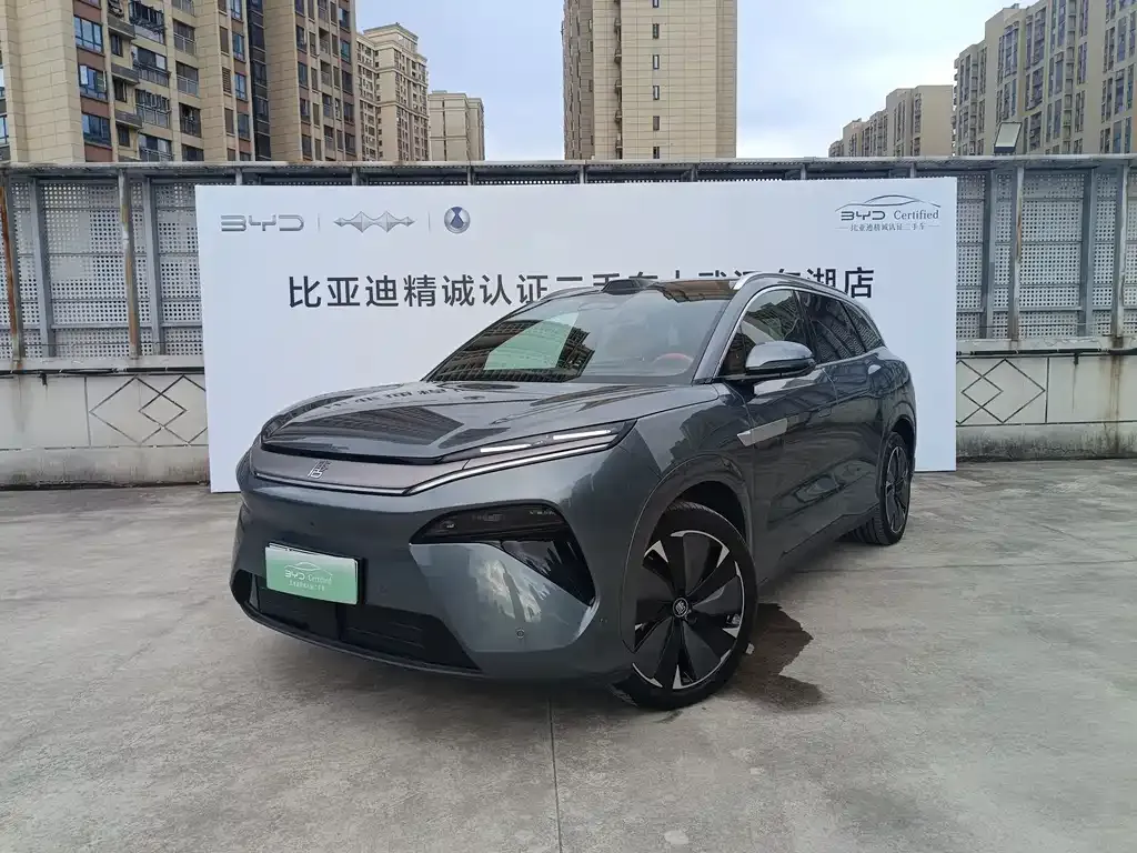 BYD Tang L — фото 1