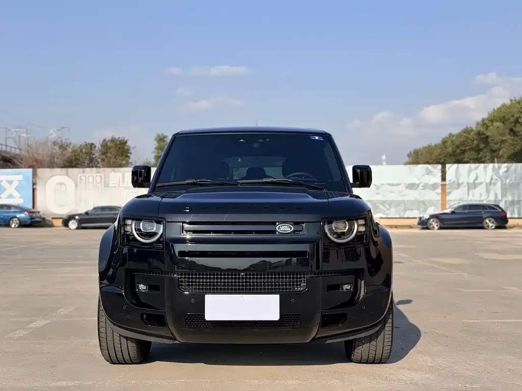 Land Rover Defender — фото 2
