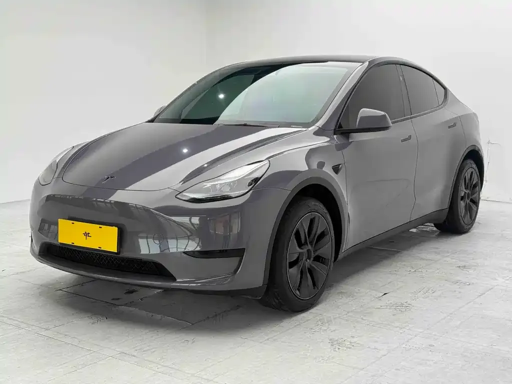 Tesla Model Y — фото 3