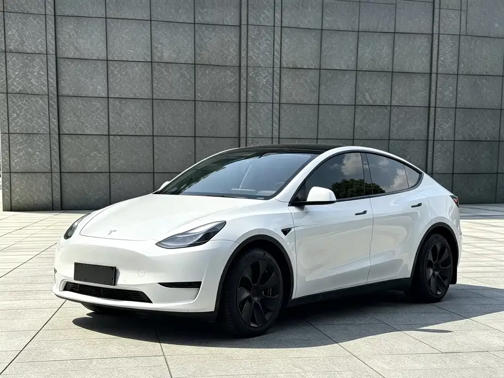 Tesla Model Y — фото 1