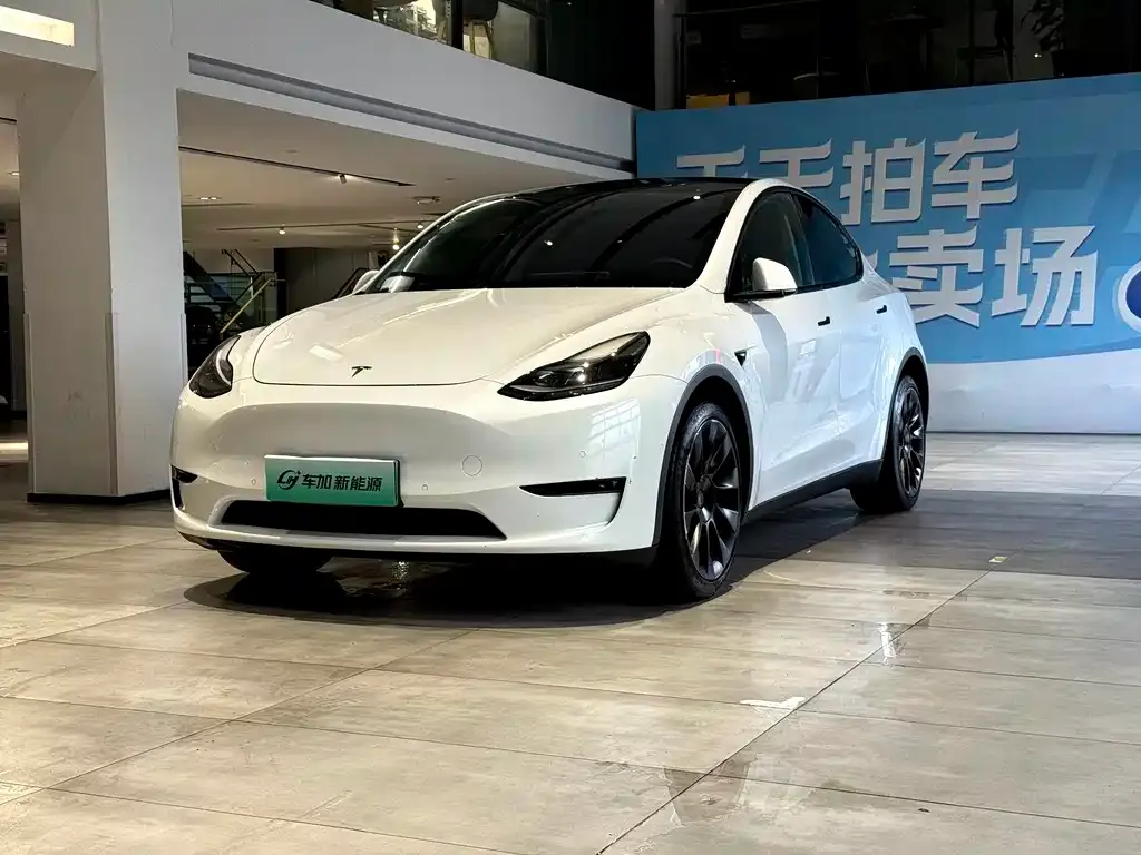 Tesla Model Y — фото 1