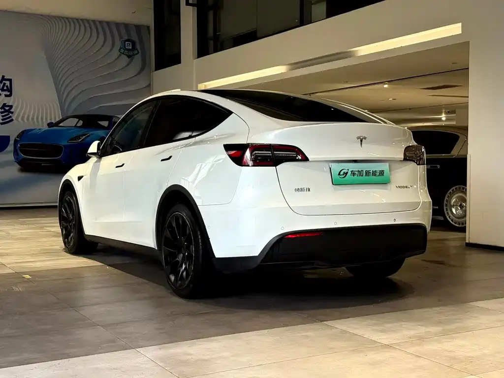 Tesla Model Y — фото 3