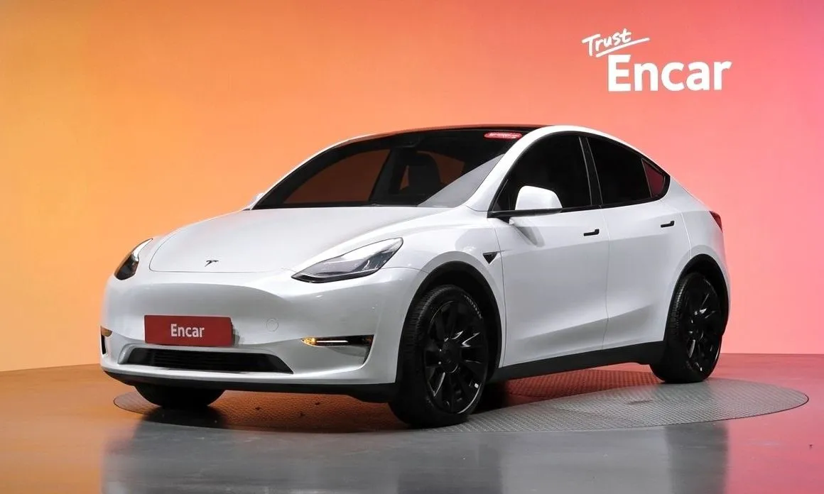 Tesla Model Y — фото 1