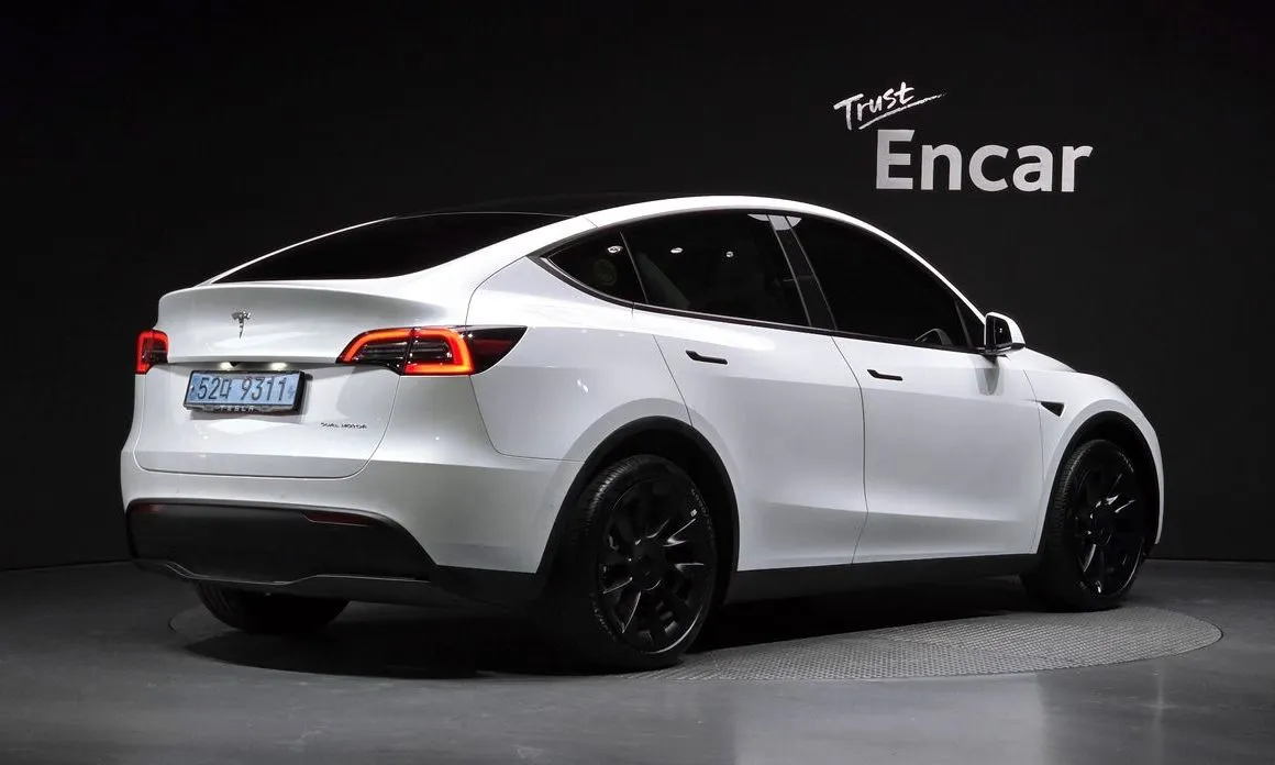 Tesla Model Y — фото 10