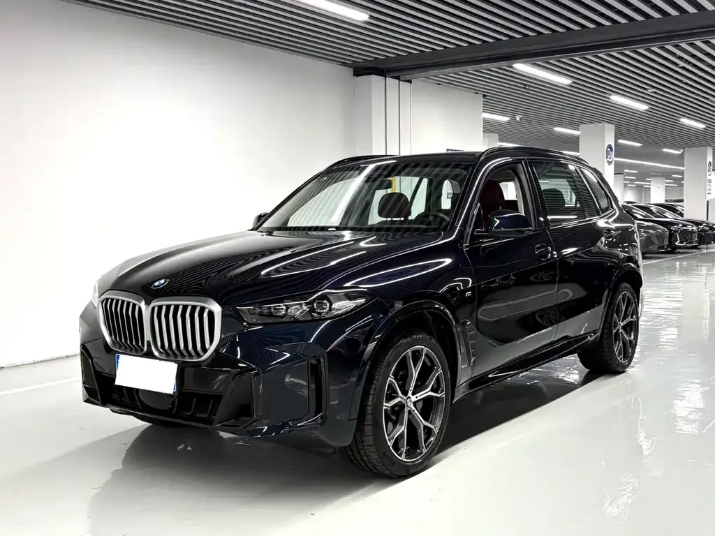 BMW X5 — фото 1