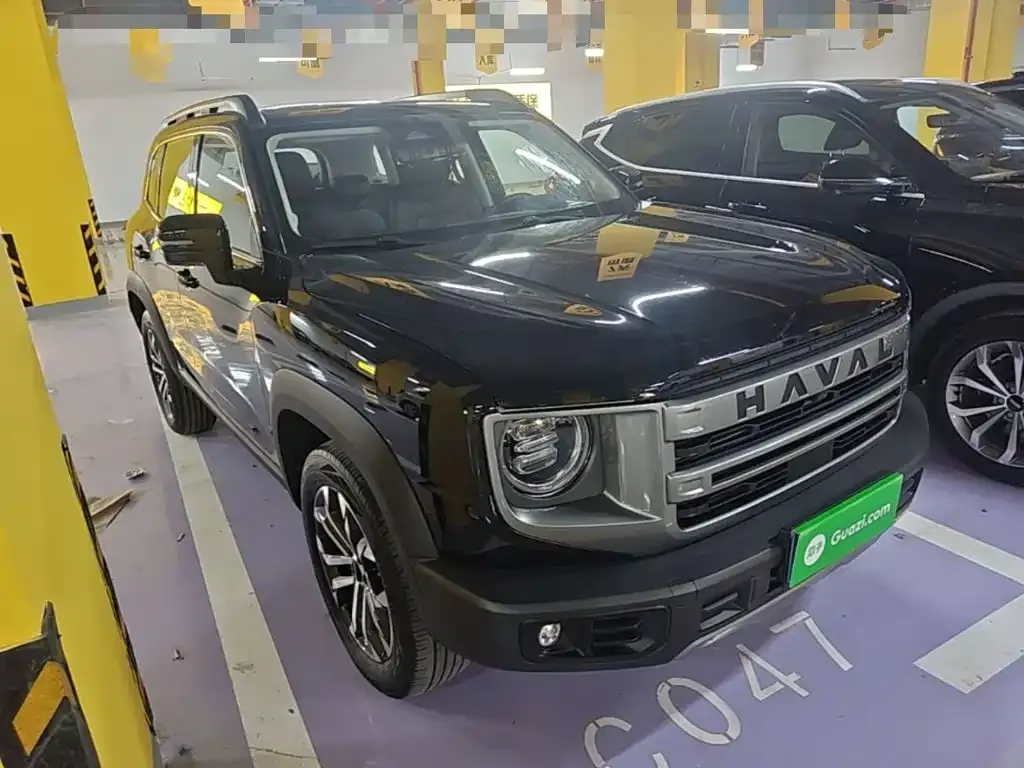 Haval Big Dog — фото 10
