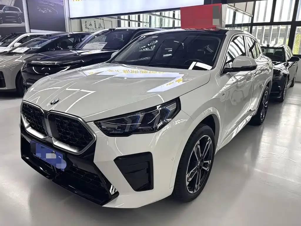 BMW X2 (Import) — фото 1