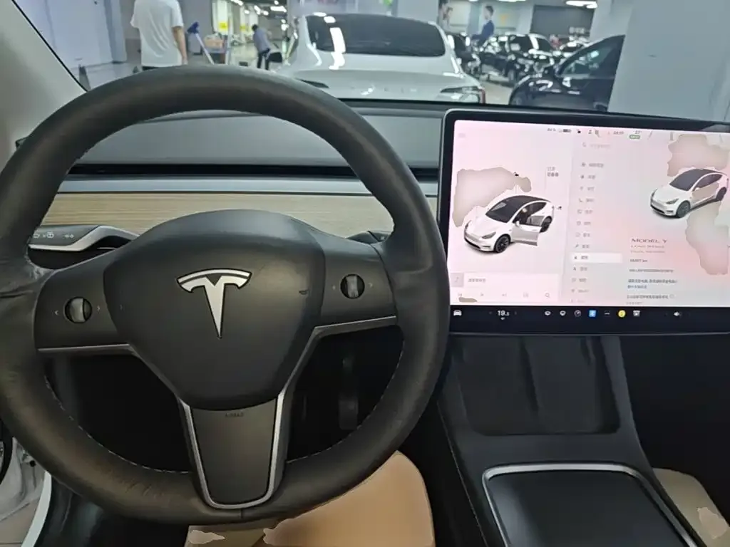 Tesla Model Y — фото 9