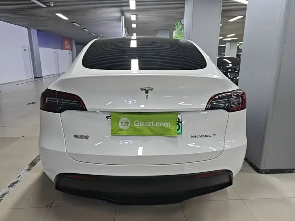 Tesla Model Y — фото 2