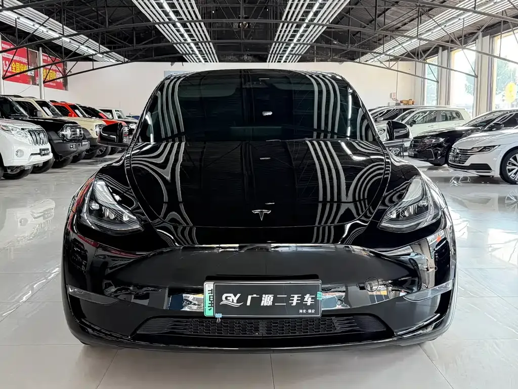 Tesla Model Y — фото 10