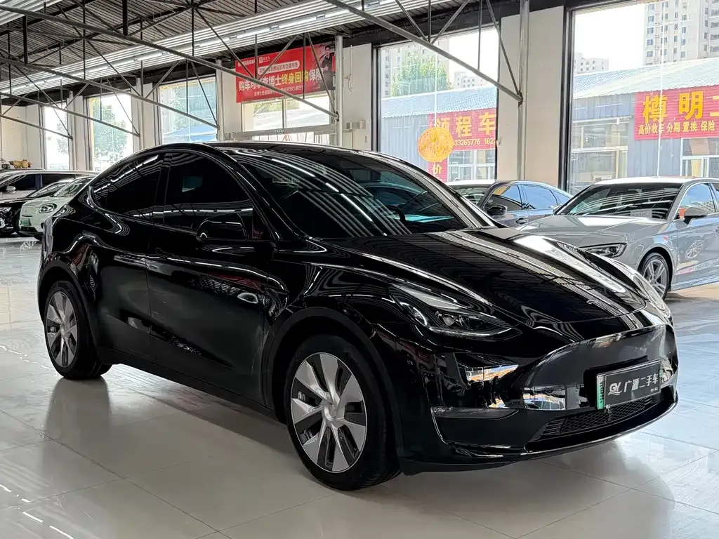 Tesla Model Y — фото 8
