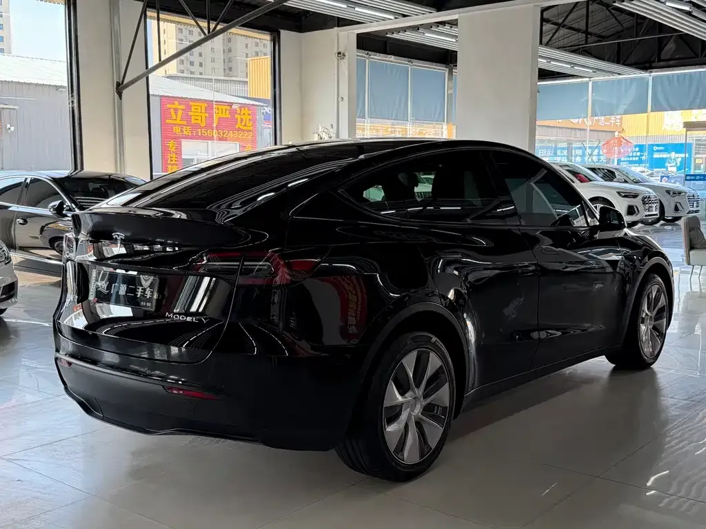 Tesla Model Y — фото 2