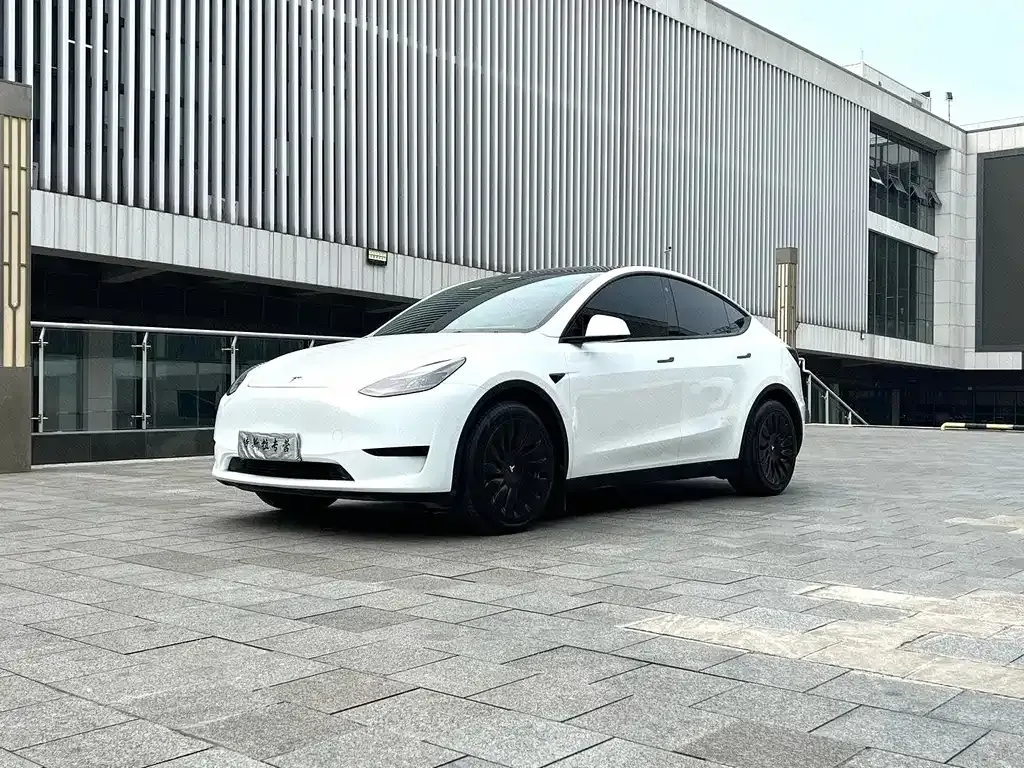 Tesla Model Y — фото 1