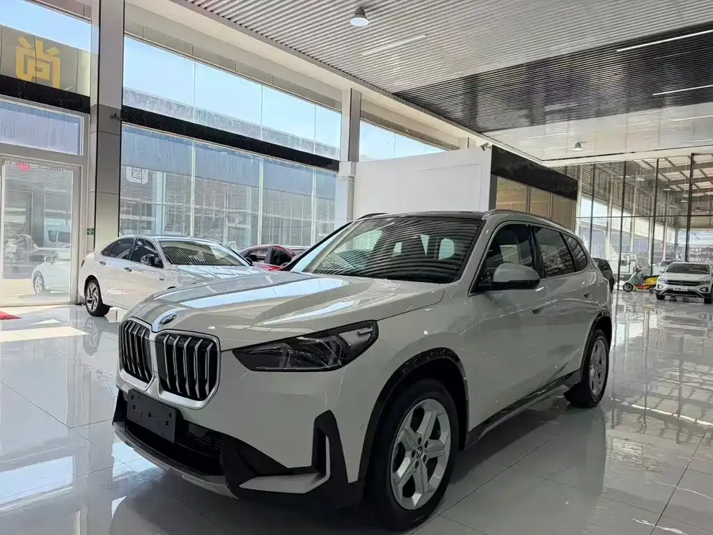 BMW X1 — фото 1