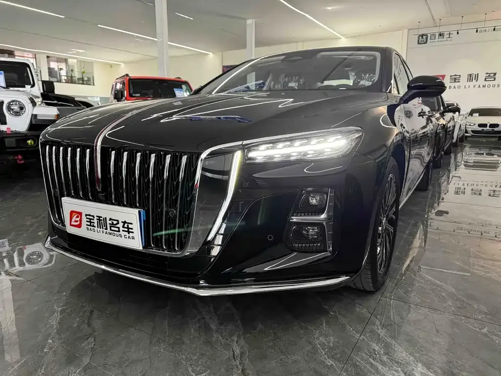 Hongqi H5 — фото 10