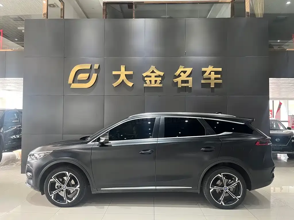 BYD Tang New Energy — фото 2
