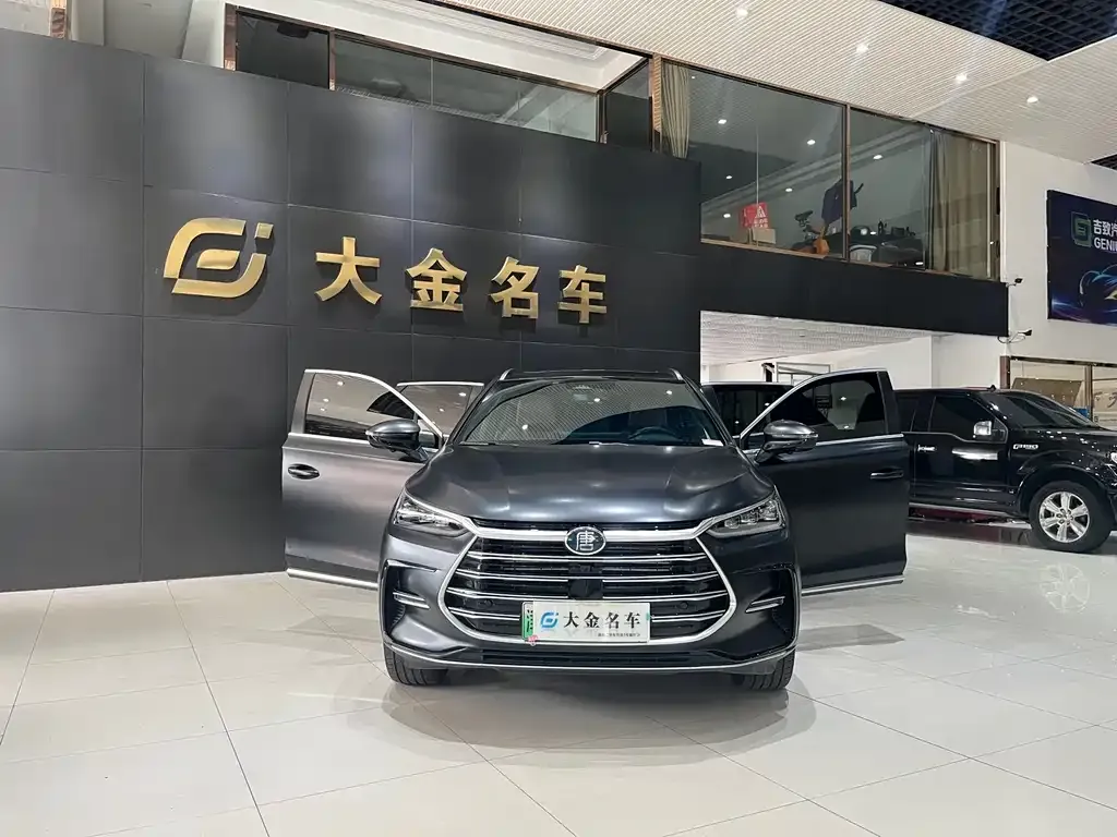BYD Tang New Energy — фото 6
