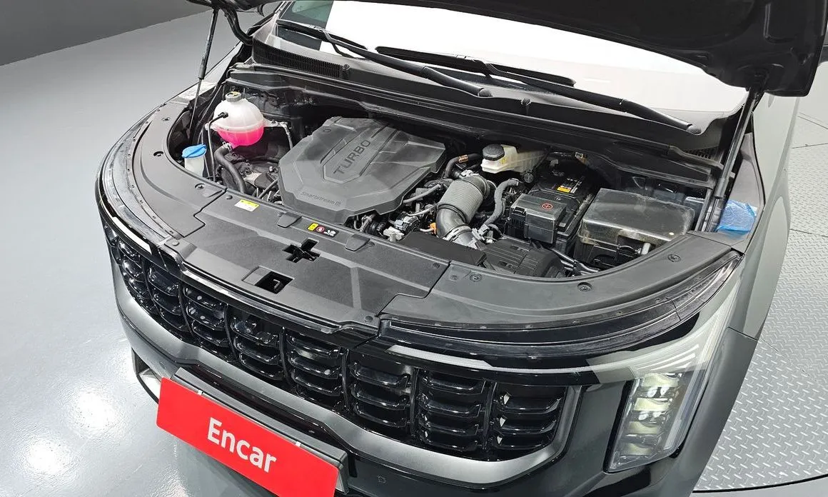Kia Carnival — фото 10