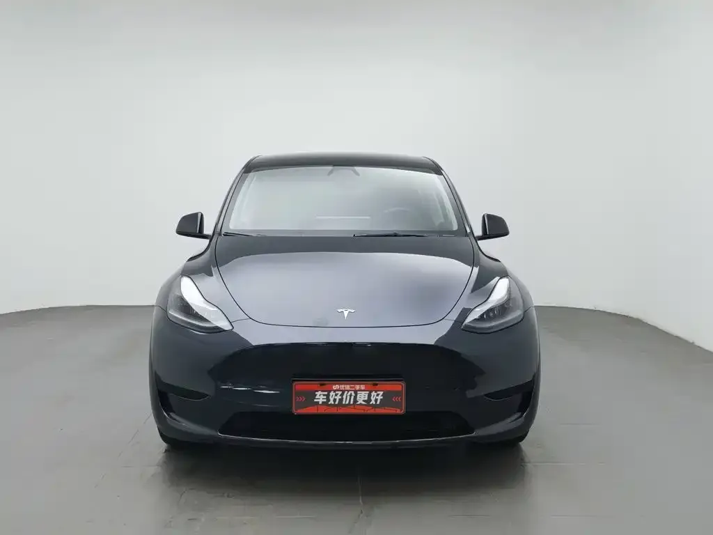 Tesla Model Y — фото 10