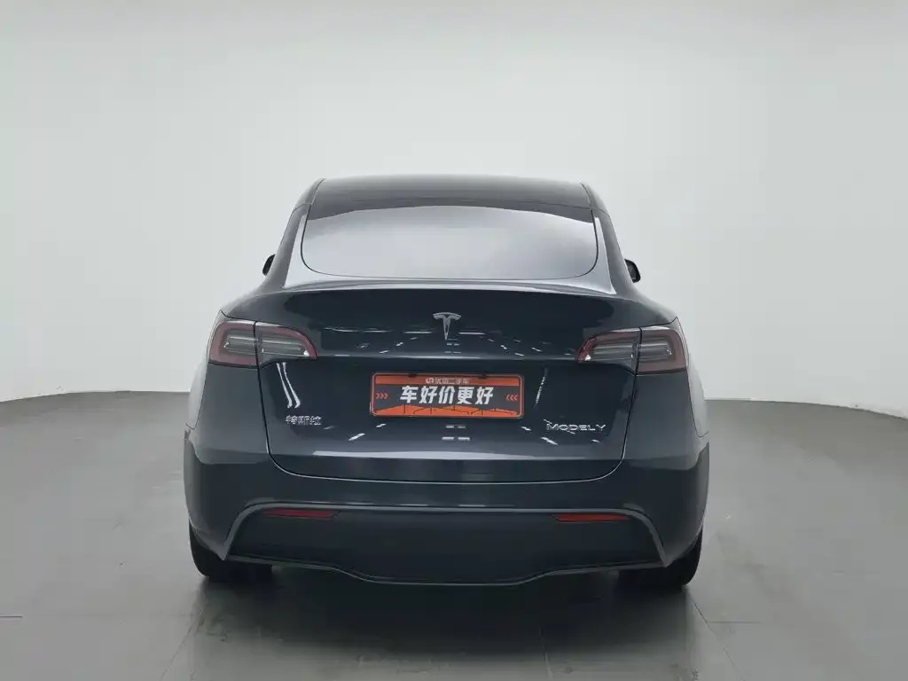 Tesla Model Y — фото 2