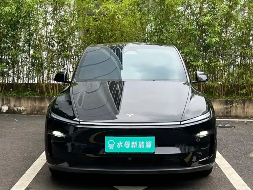 Tesla Model Y — фото 6