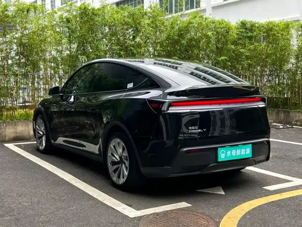 Tesla Model Y — фото 10