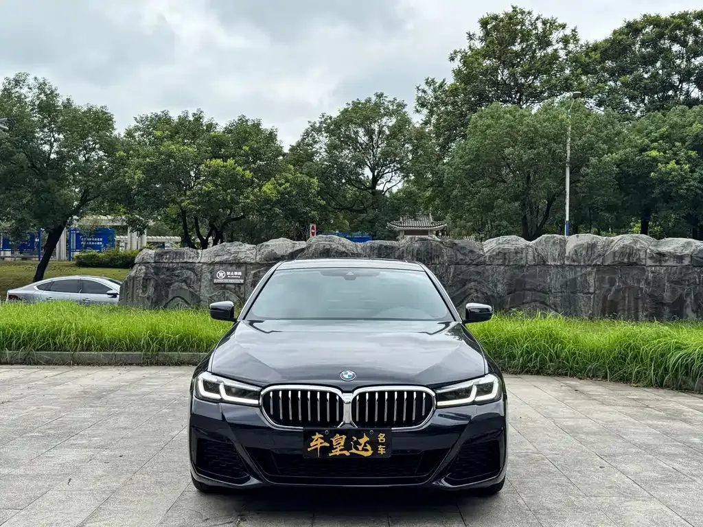 BMW 5 Series (Import) — фото 10