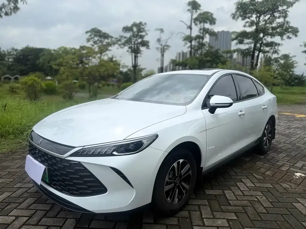 BYD Qin PLUS — фото 1