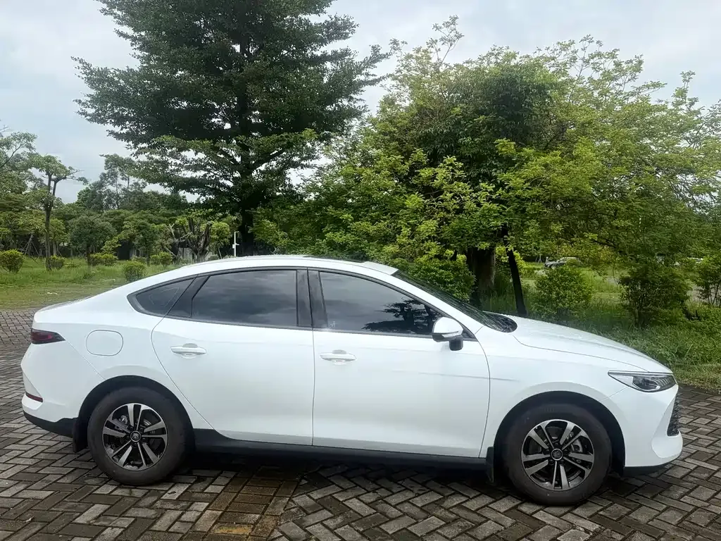BYD Qin PLUS — фото 6