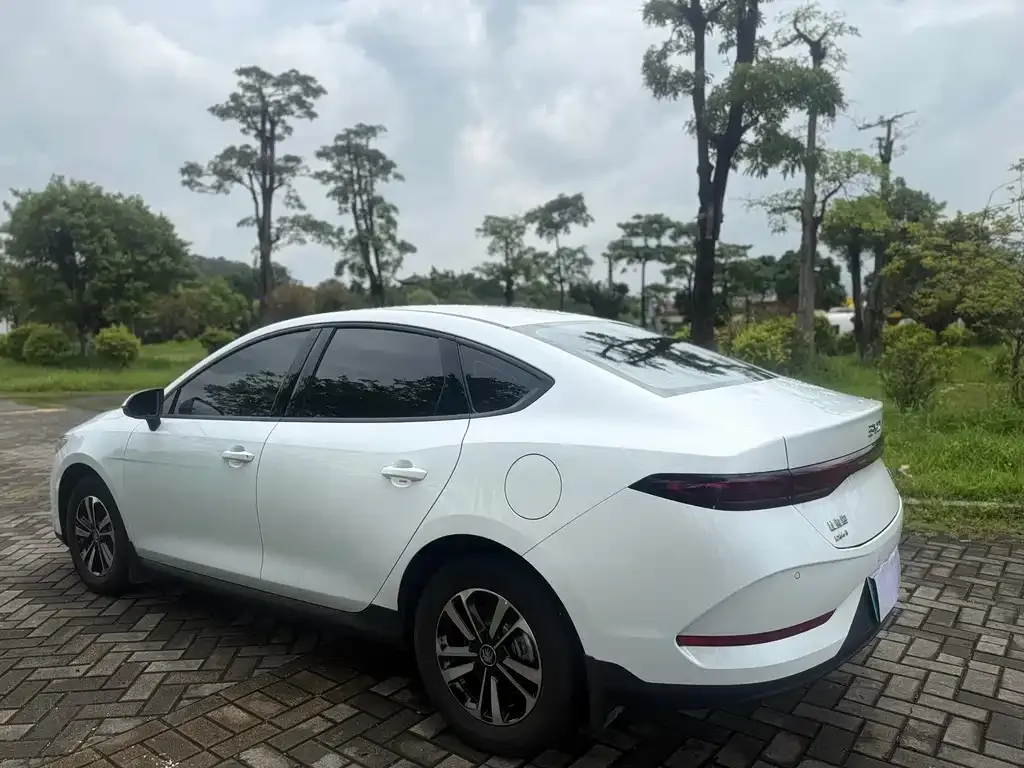 BYD Qin PLUS — фото 4