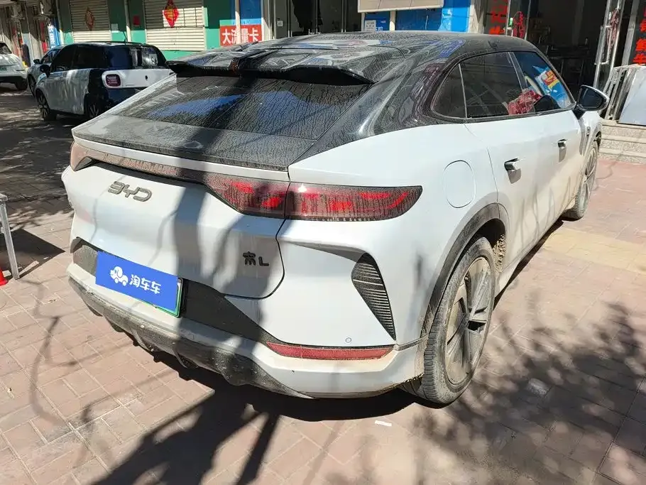 BYD L EV — фото 9